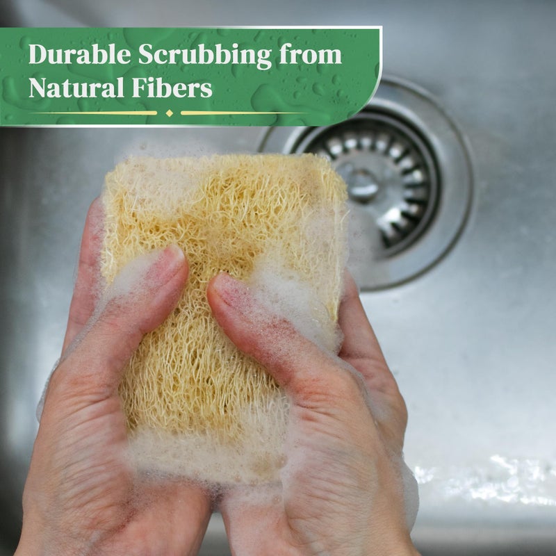 LooLife Natural Loofah Kitchen Sponge (3 Pack) - Natural Sponges for Dishes - Eco Friendly and Compostable Sponges - Biodegradable Plant Based Kitchen Dish Sponge - Plastic Free Dish Scrubber - Image 5